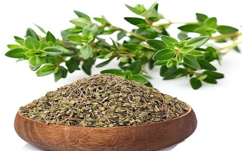 تصویر 1 از فروش آویشن باغی خشک + قیمت خرید به صرفه